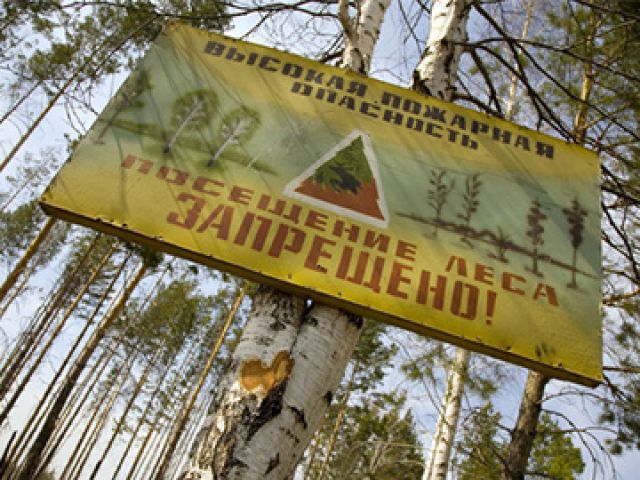 запрет на посещение лесов