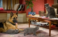 Кошки против собак: Месть Китти Галор / Cats & Dogs: The Revenge of Kitty Galore (2010) 