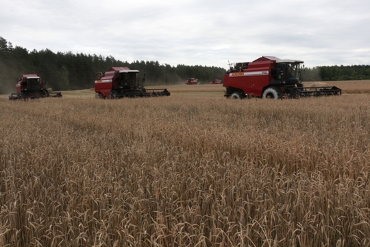 На полях Полоцкого района закончилась уборка зерновых и зернобобовых