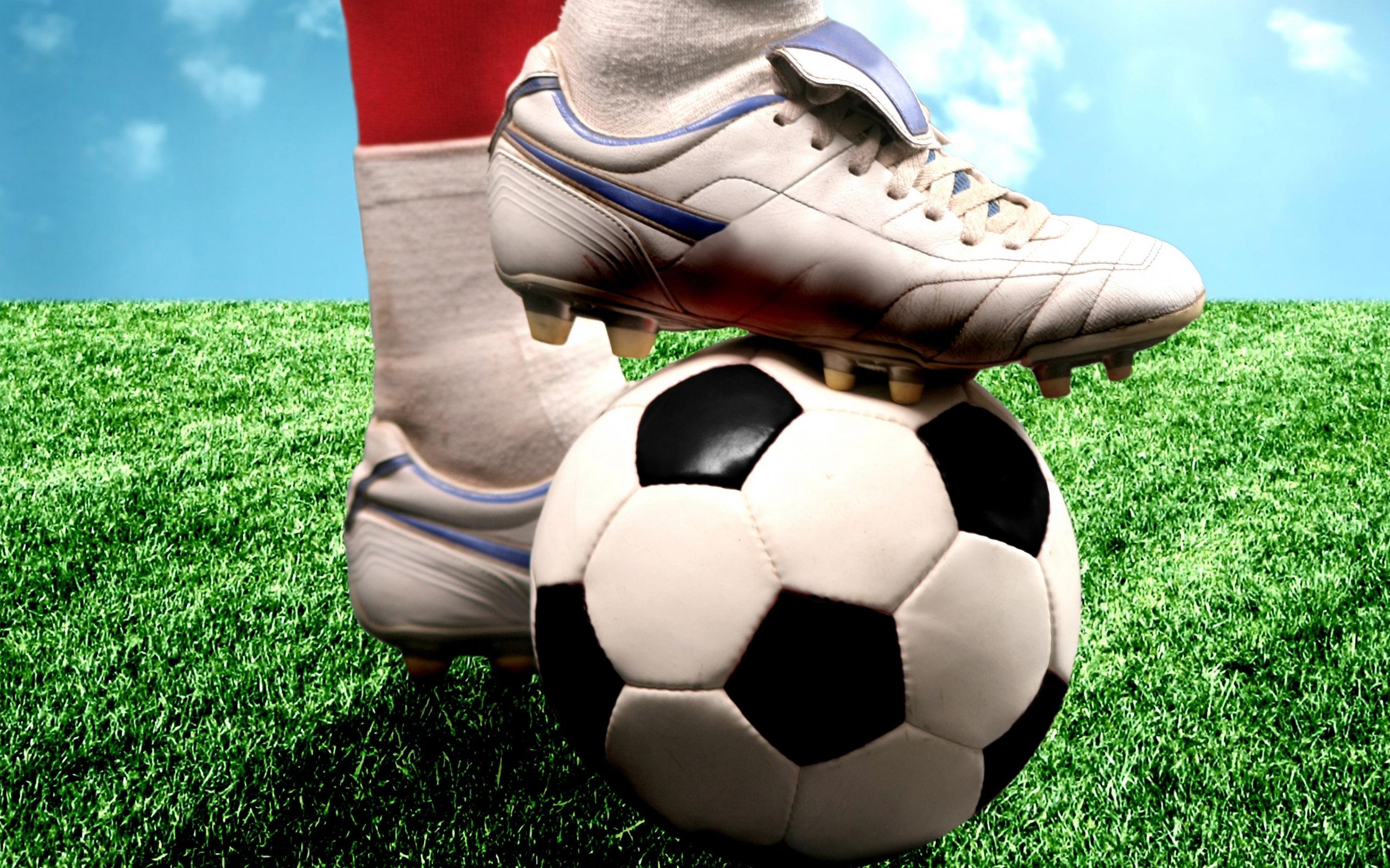 «Нафтану» выдали футбольную лицензию