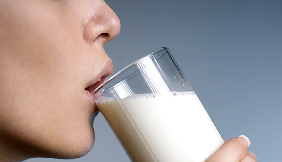 Что входит в состав безлактозного молока?