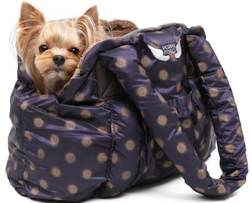 сумки для собак