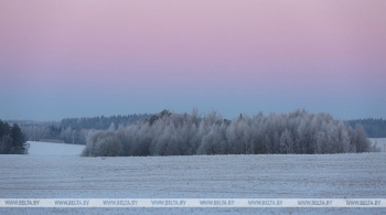 Погода в Беларуси 30 ноября: минус 6 с мокрым снегом