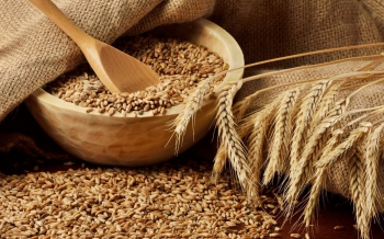 Совмин установил временный запрет на вывоз пшеничной муки